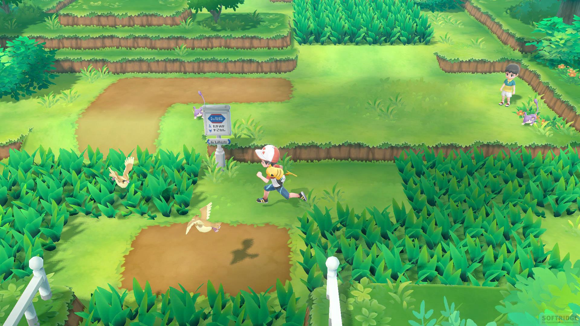 Pokémon Lets Go Pikachu Evoli Das Offizielle